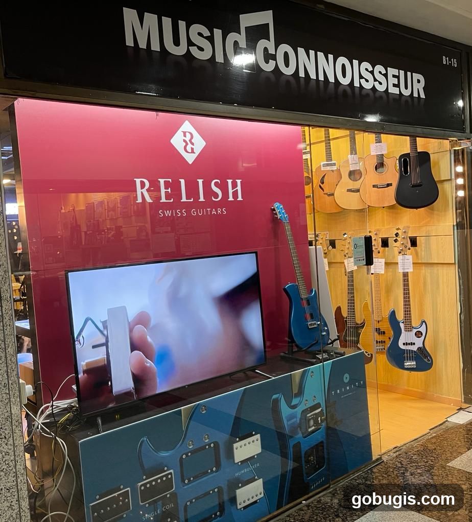 Music Connoisseur Singapore