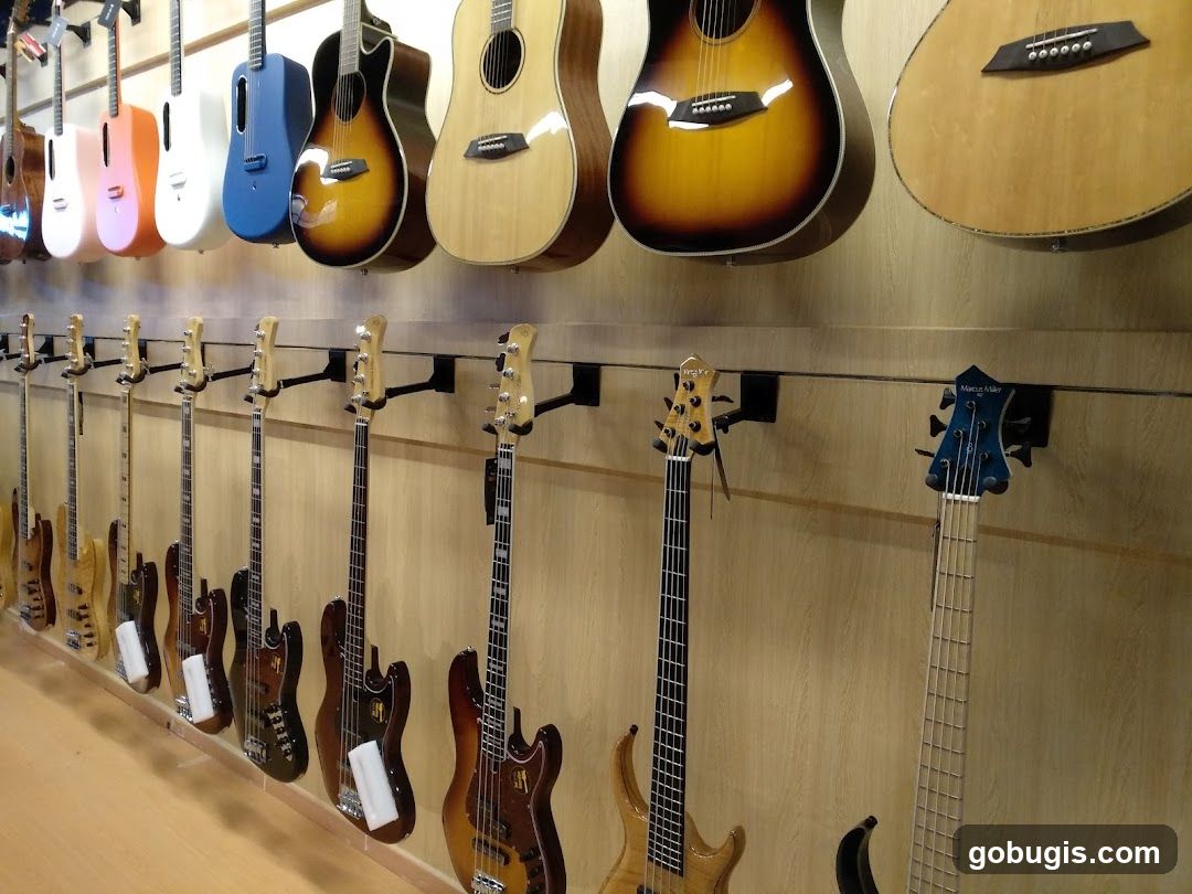 Guitars on Display