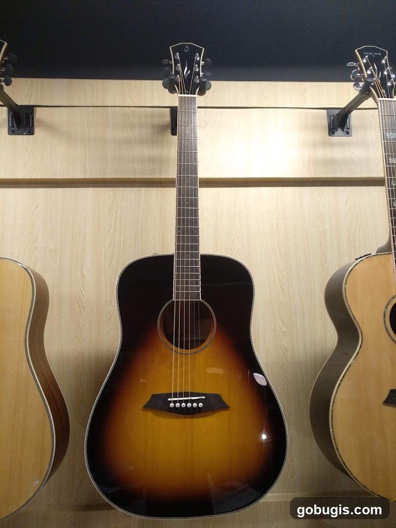 Guitars on Display