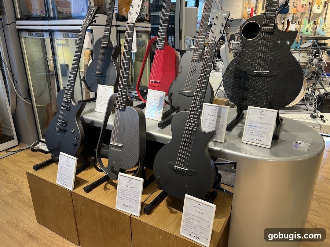 Guitars on Display