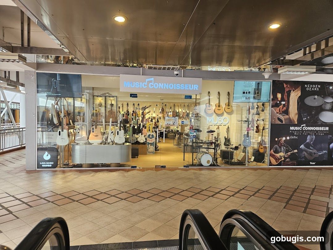 Music Connoisseur Storefront