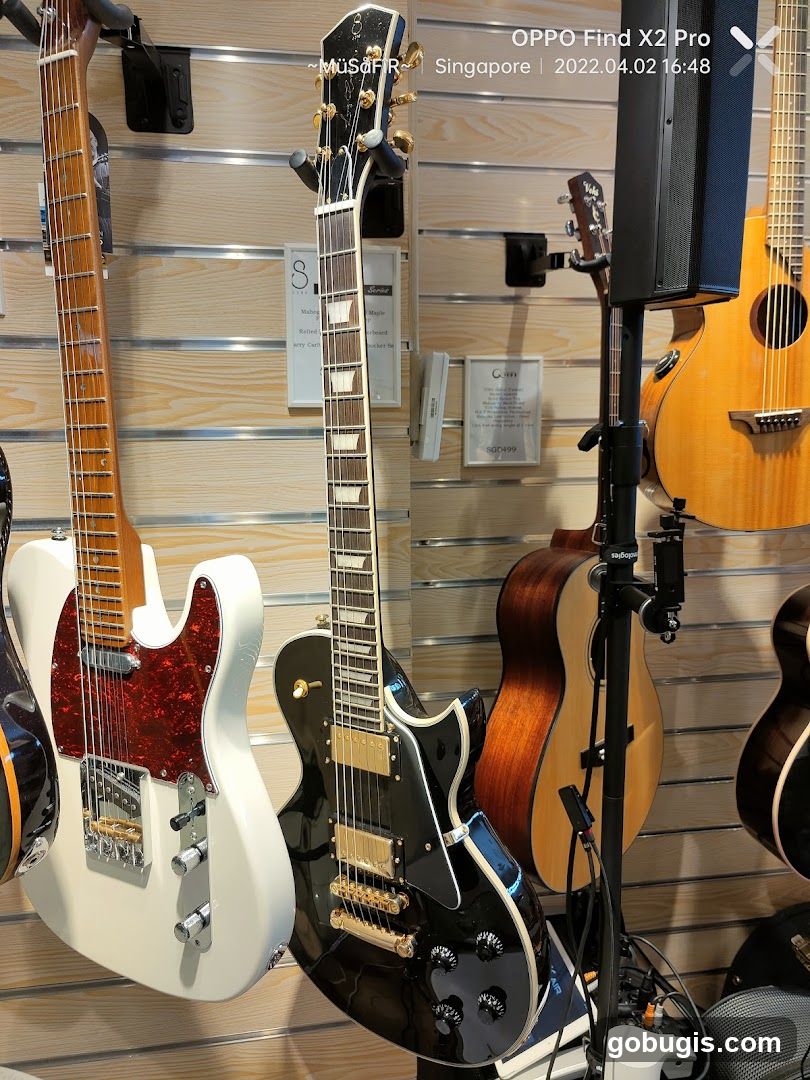 Guitars on Display