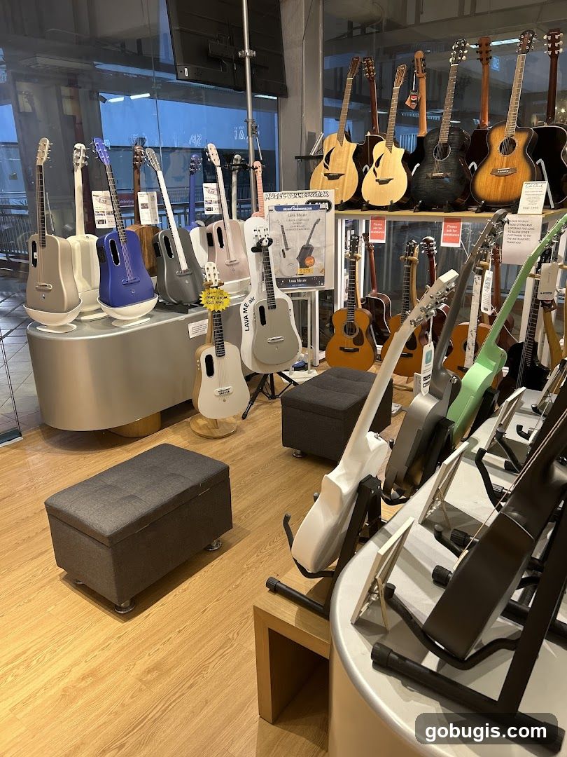 Guitars on Display