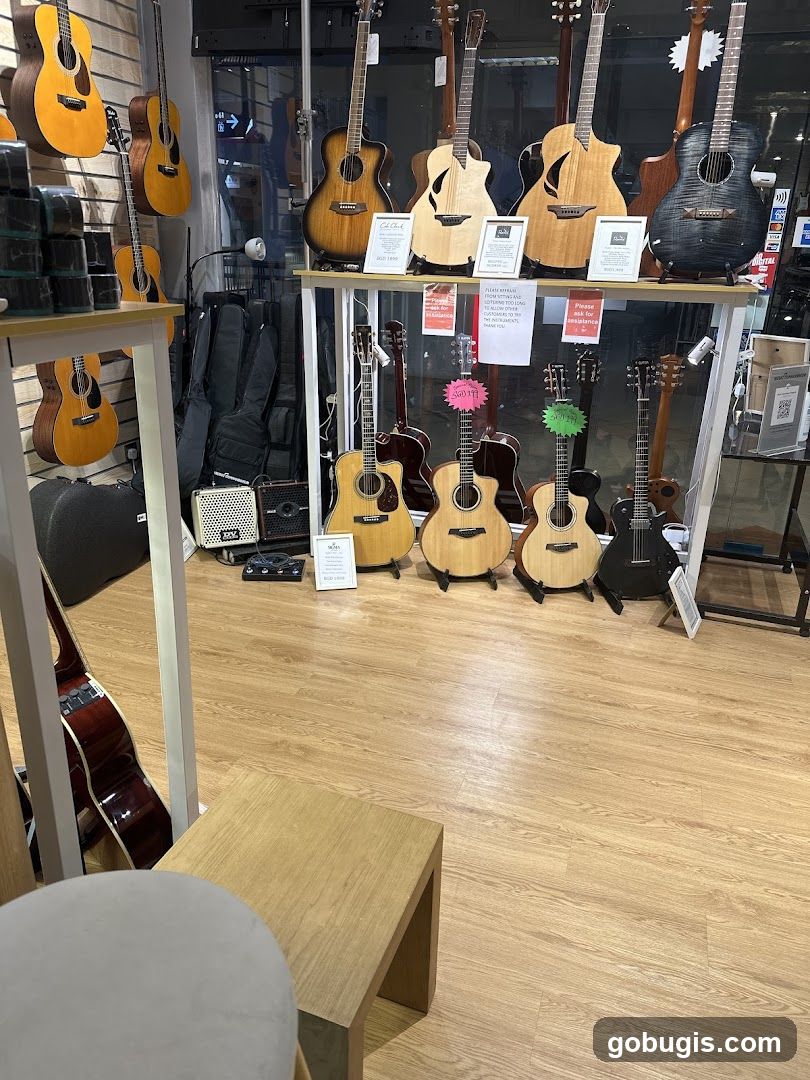 Guitars on Display