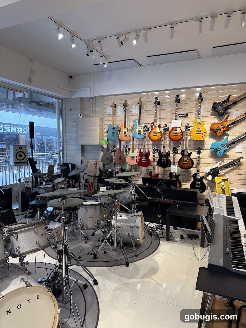 Musical Instrument Store