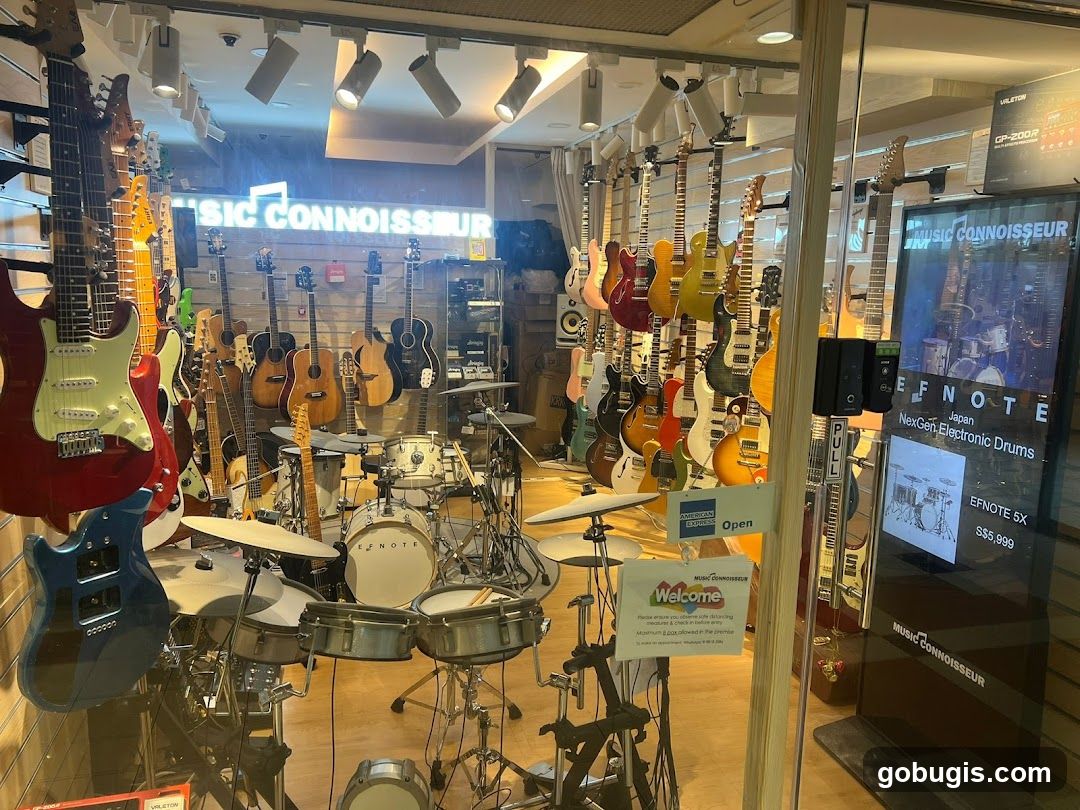 Music Connoisseur Storefront