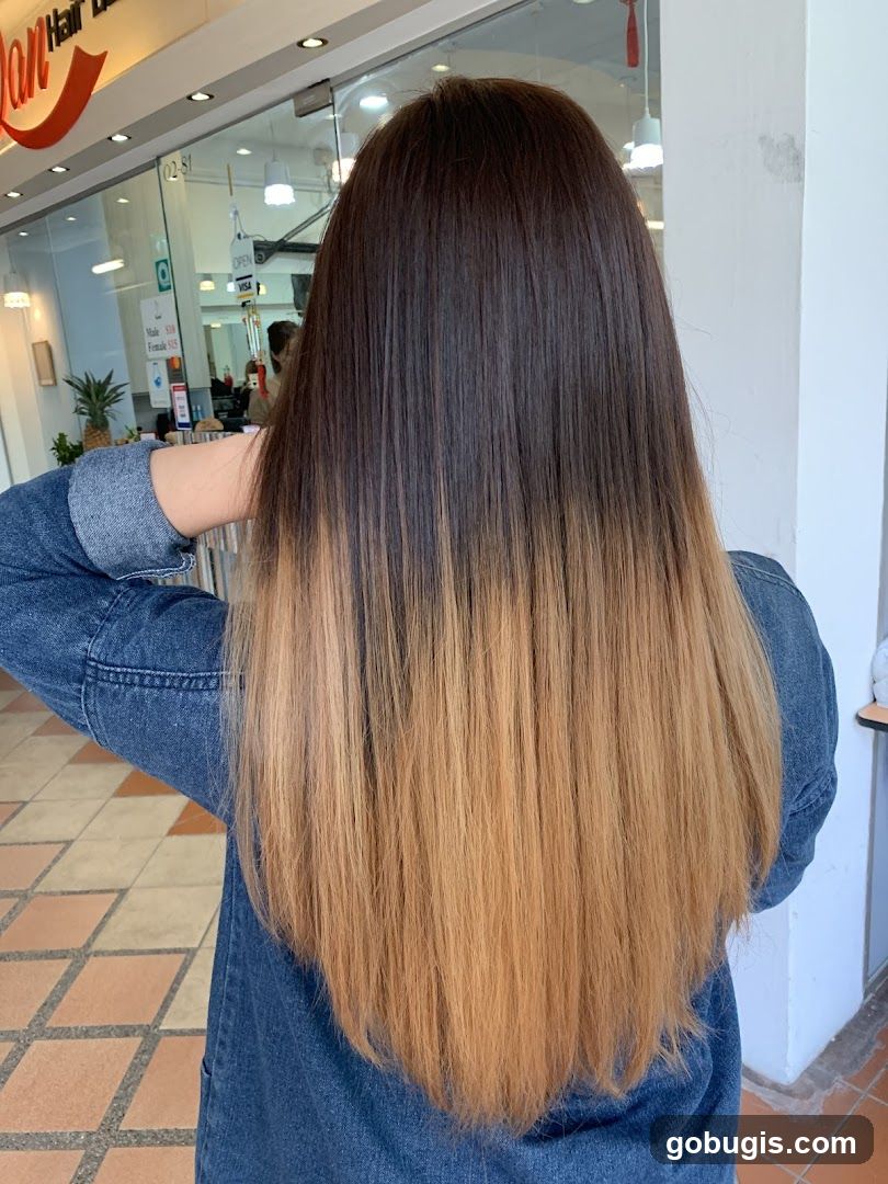 HAVA Hair