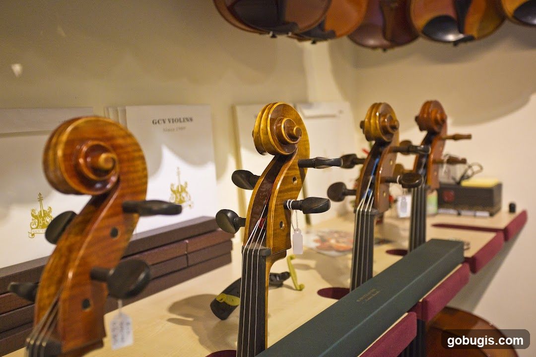 Violin Shop Display
