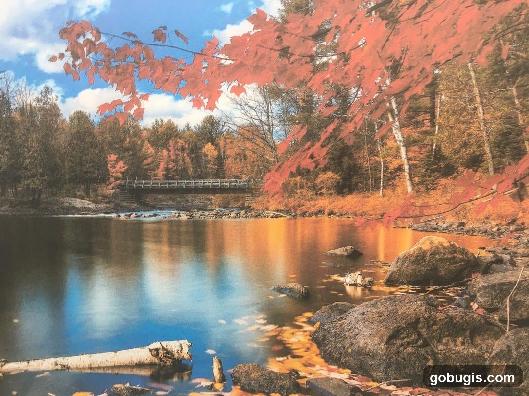 Autumn Landscape