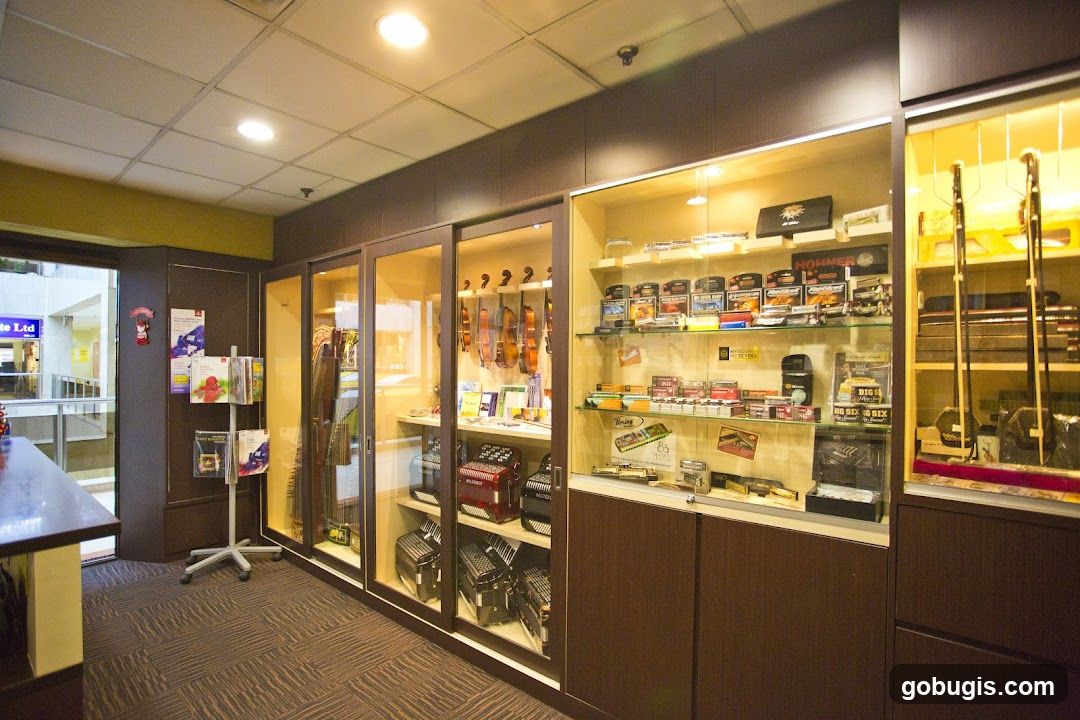 Musical Instrument Store Display
