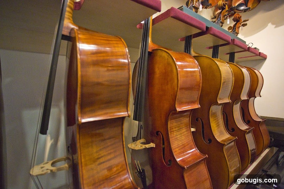Cellos on Display