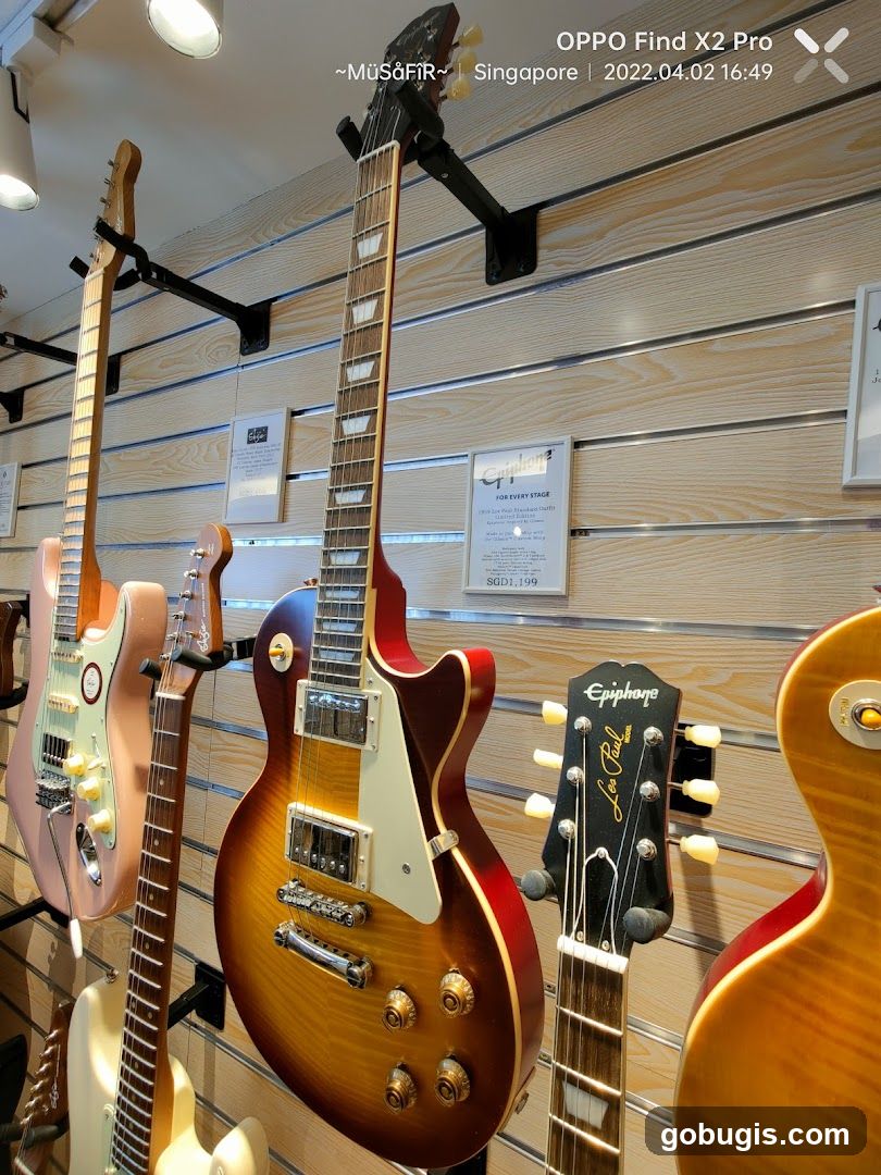 Guitars on Display