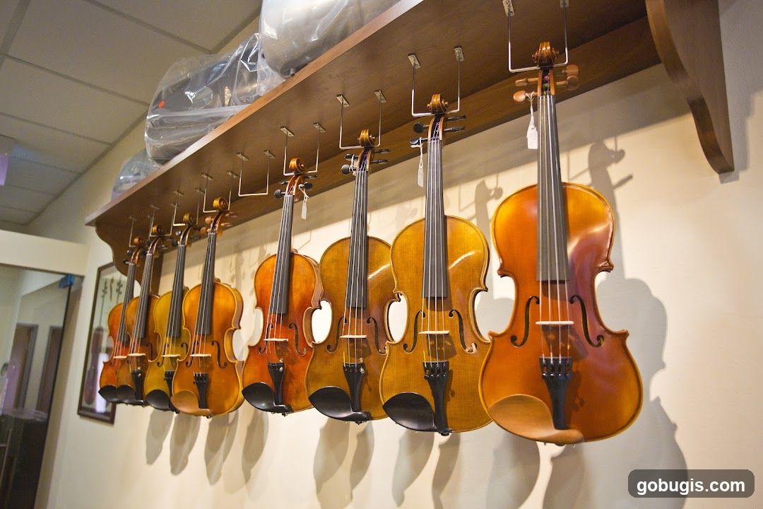 Violins on Display