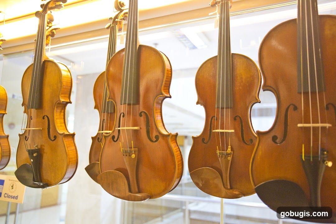 Violins on Display