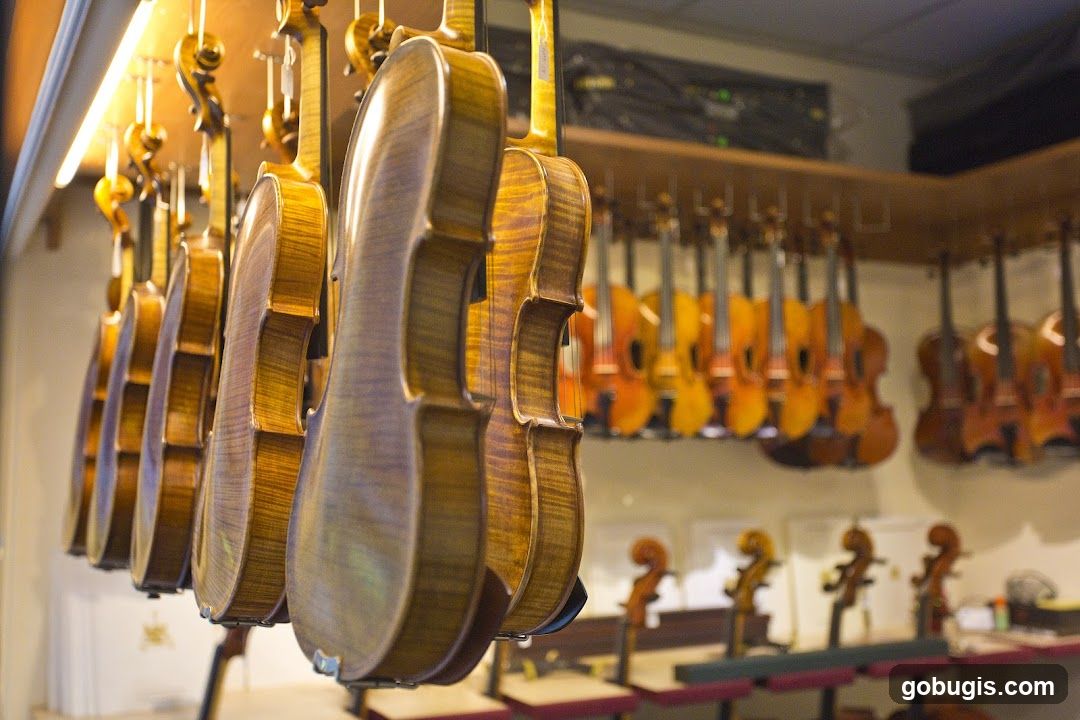 Violins on Display