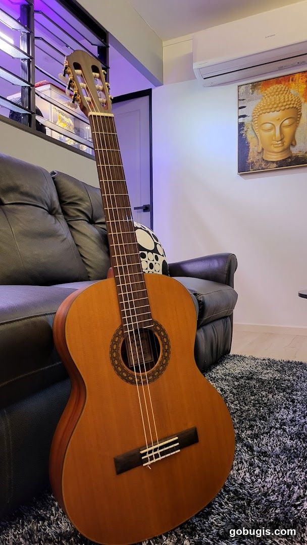 Acoustic Guitar in a Living Room