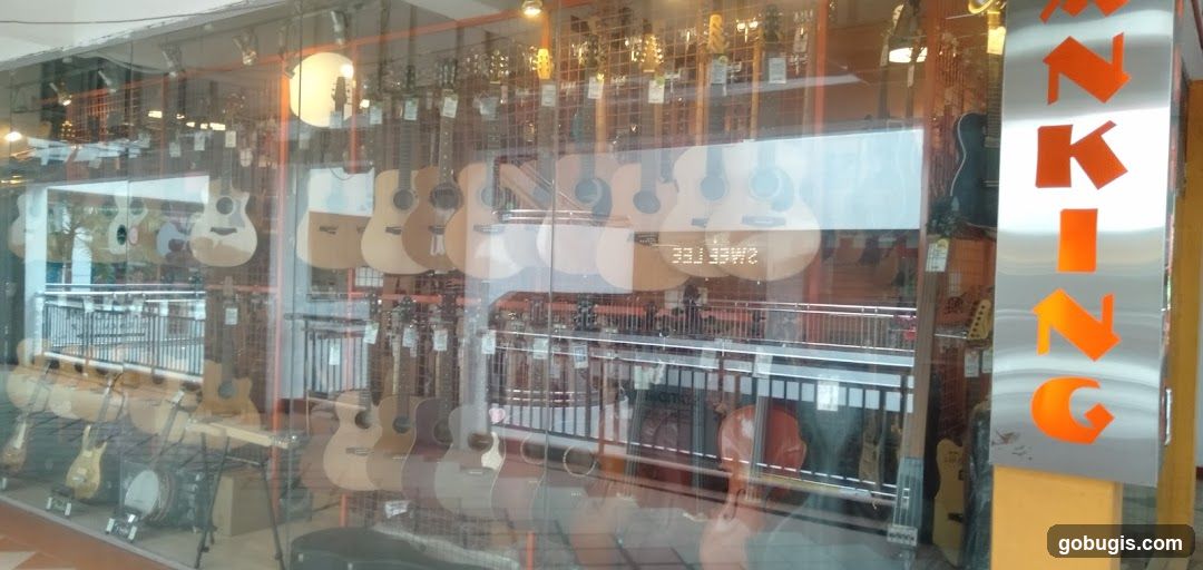 Guitar Store Display