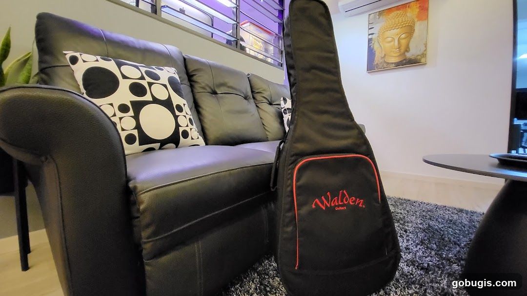 Guitar Case on Couch