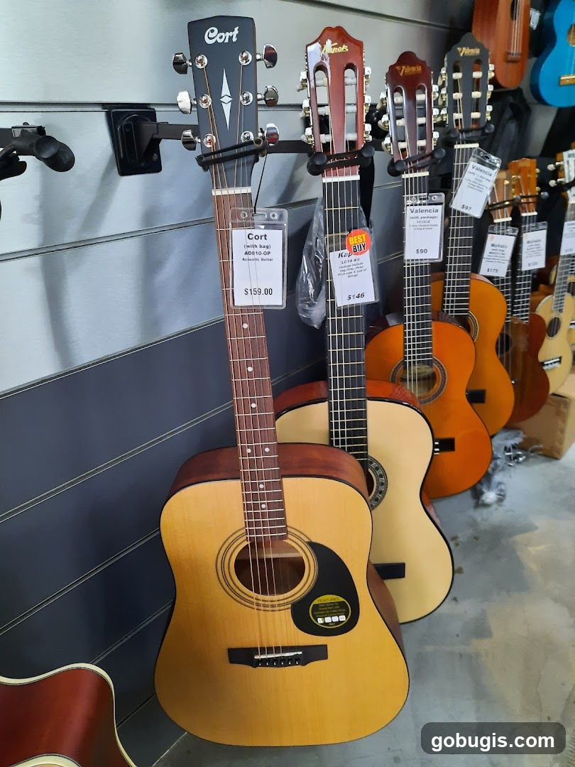 Guitars on Display