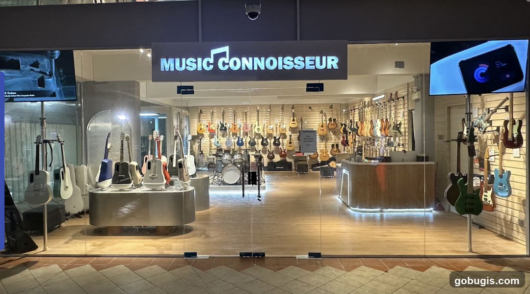 Music Connoisseur Storefront