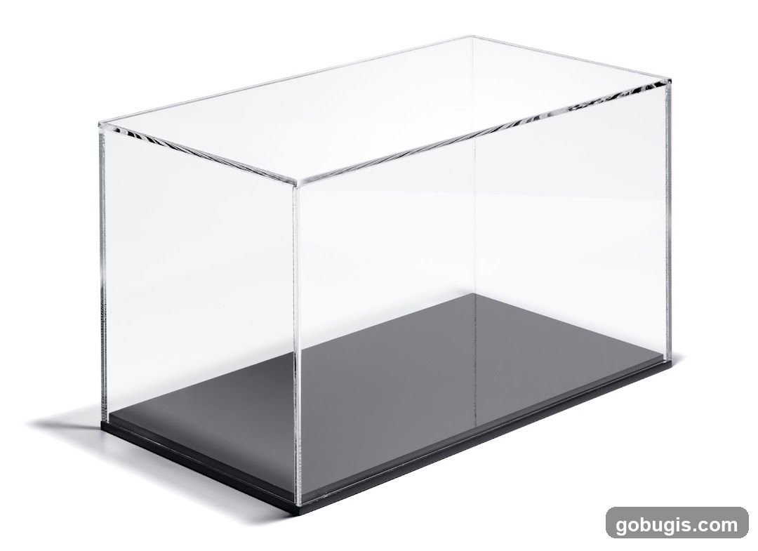 Clear Display Case