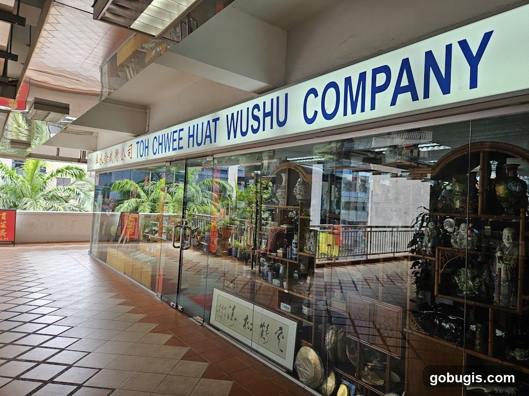Toh Chwee Huat Wushu Company