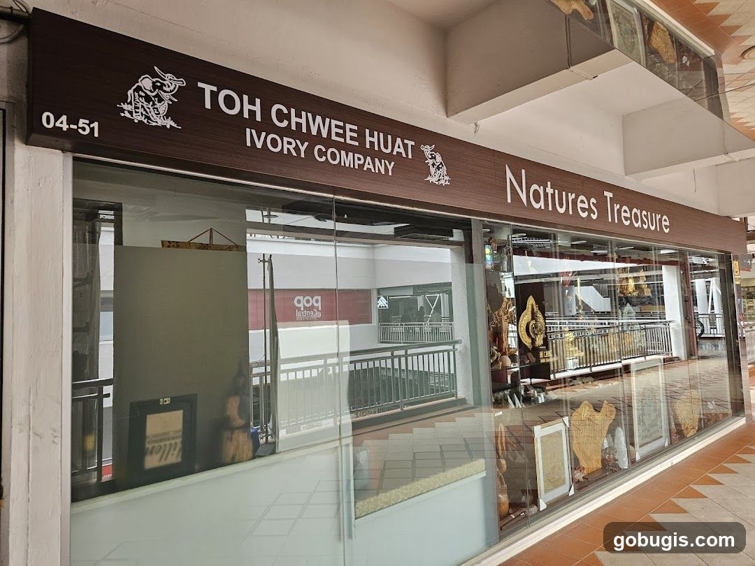 Toh Chwee Huat Wushu Company
