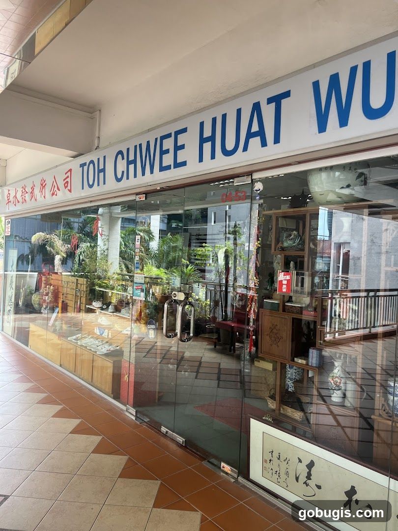 Toh Chwee Huat Wushu Company