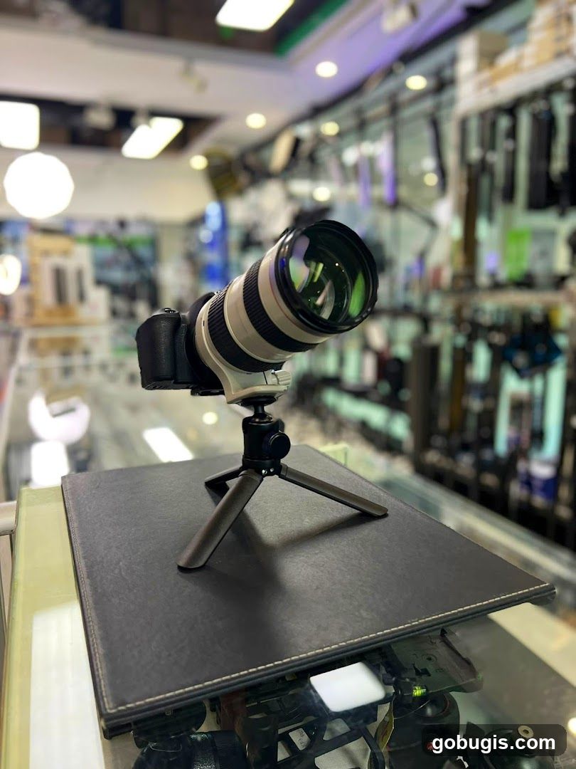 Camera and Lens on Display