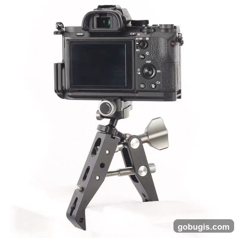 Camera on a tripod