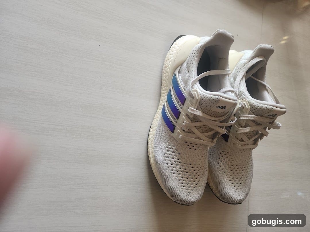 Adidas Ultraboost Shoes