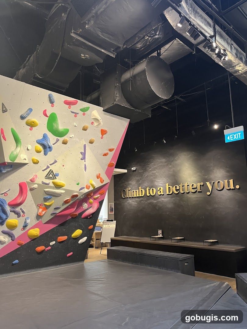 Climbing gym interior