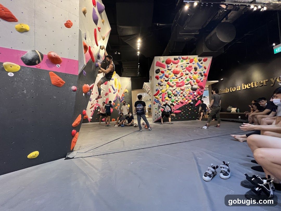 Indoor Climbing Gym