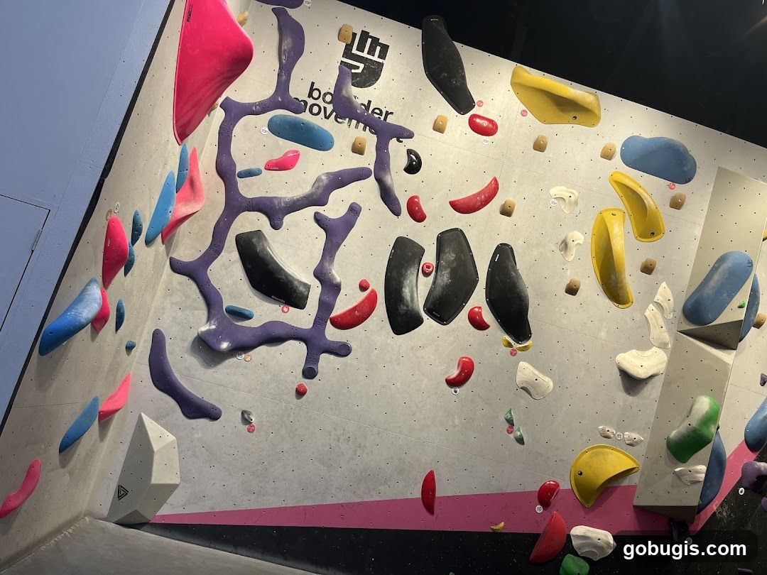 Climbing Wall with Colorful Holds