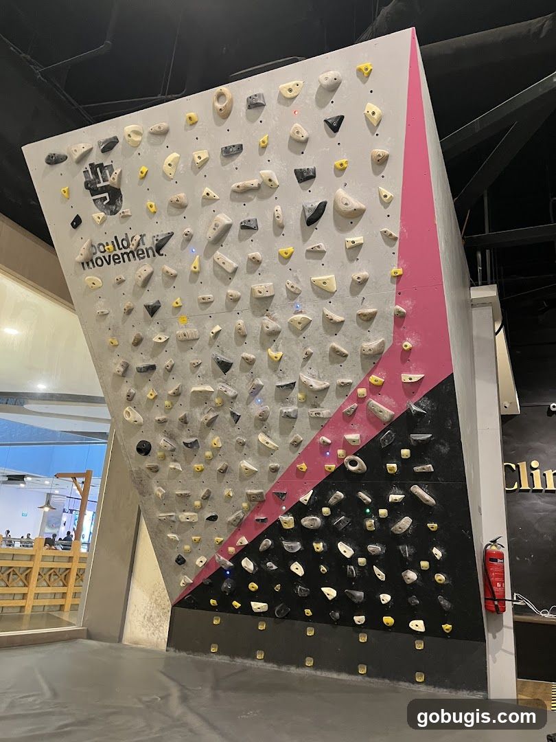 Climbing Wall