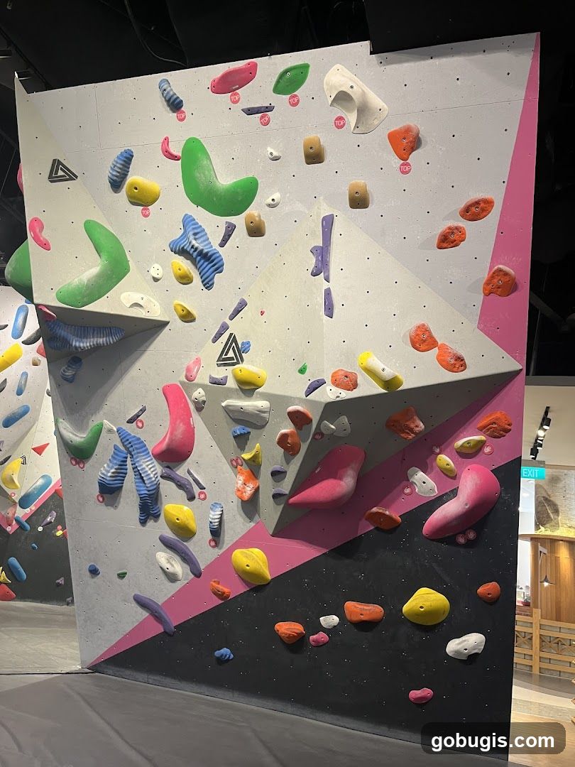 Climbing Wall