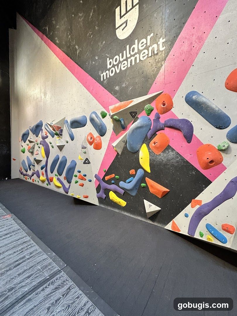 Climbing Wall