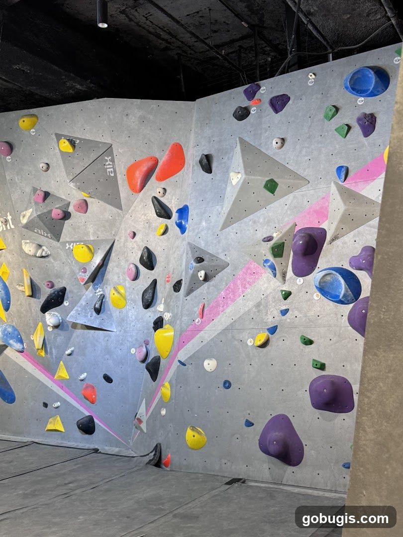Climbing Wall