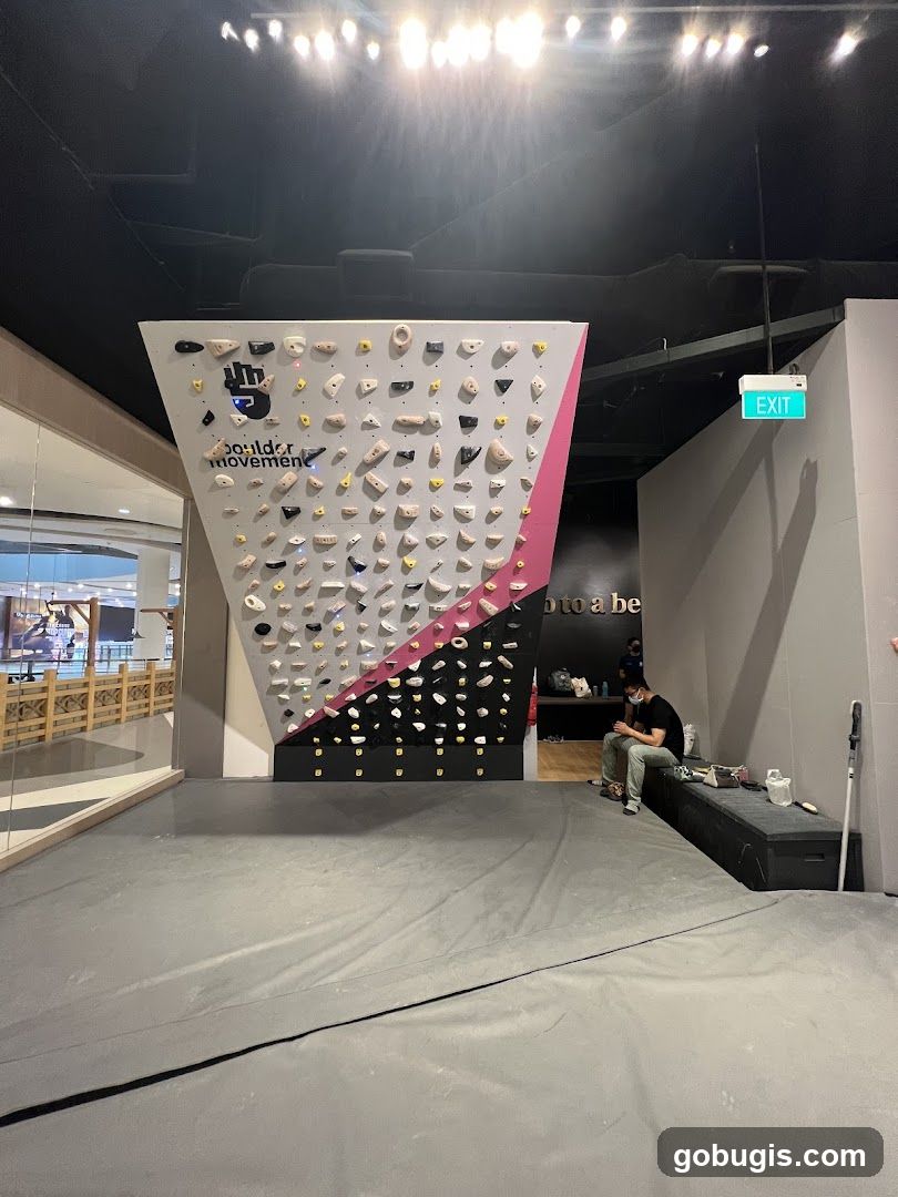Indoor Climbing Wall