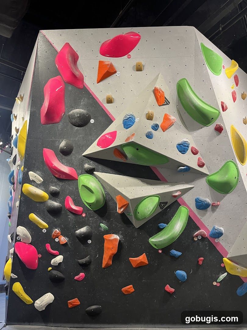 Climbing Wall