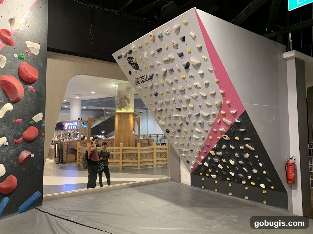 Indoor Climbing Wall
