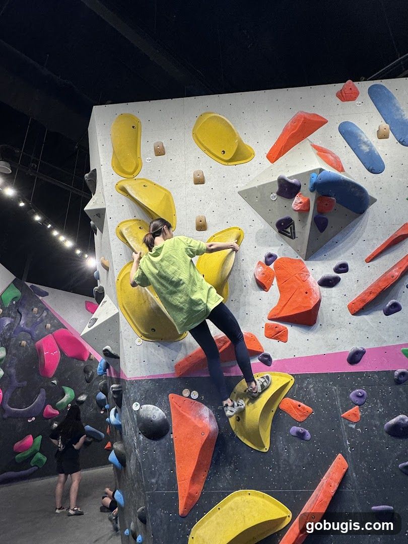 Climbing Gym