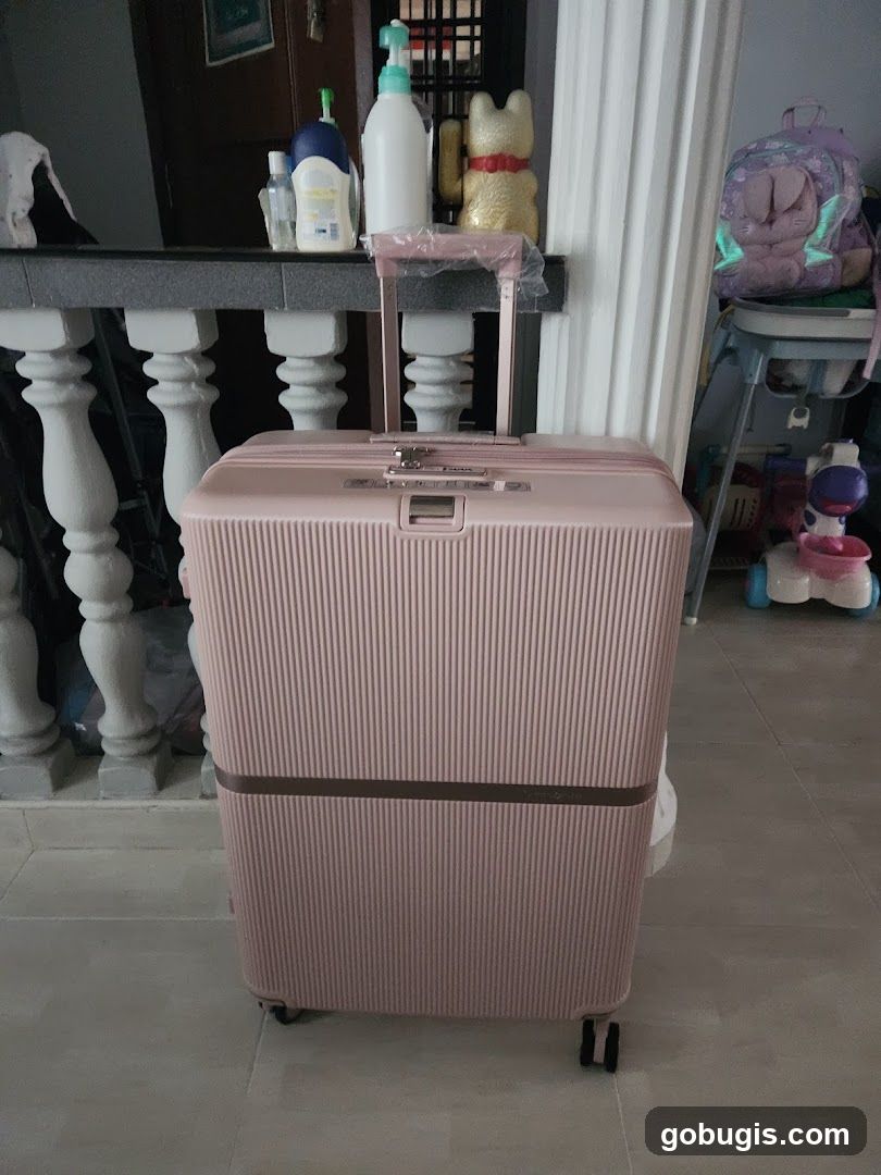 Pink Luggage and Household Items
