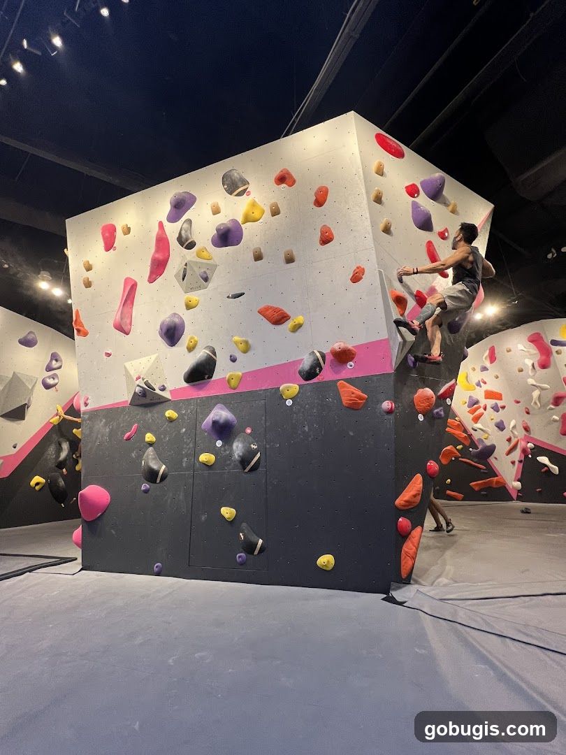 Indoor Climbing Gym