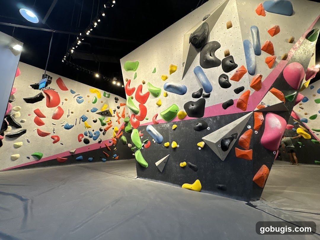 Indoor Climbing Gym