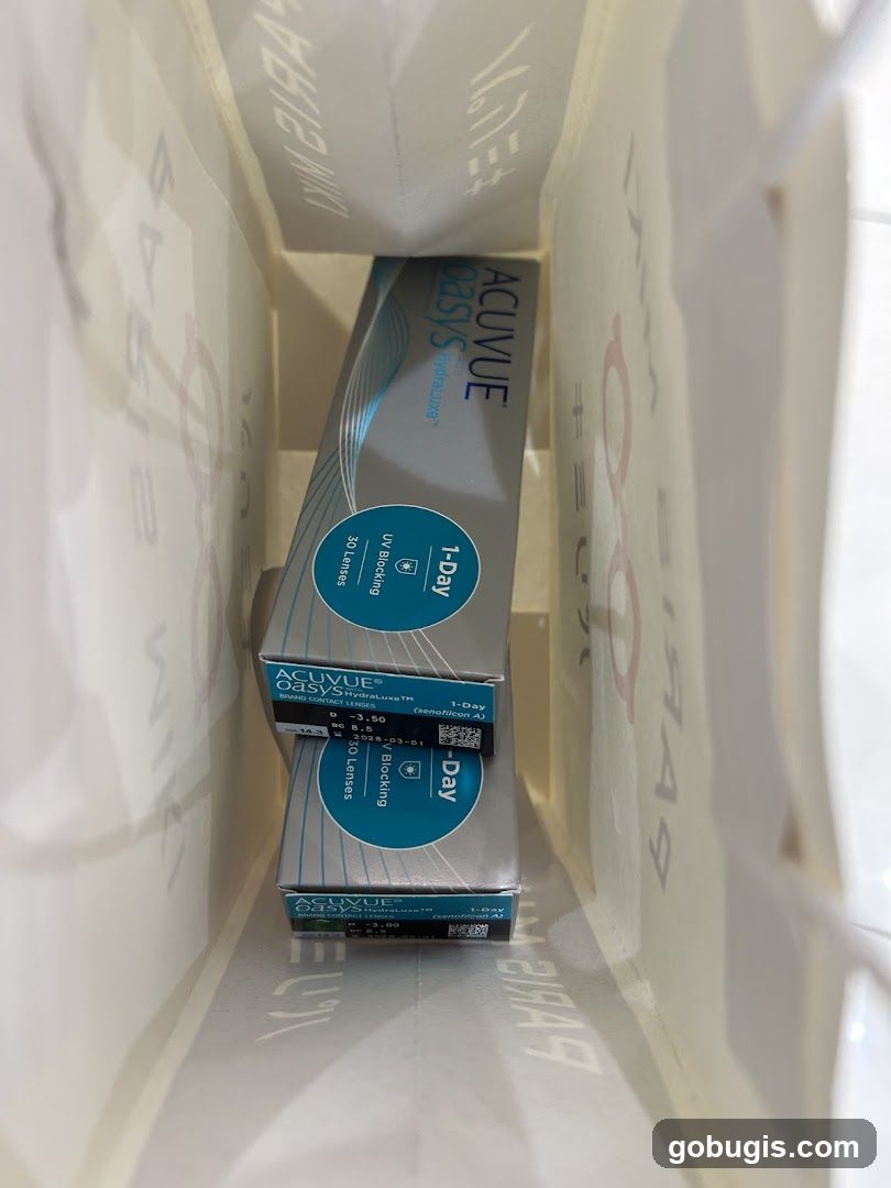 Contact Lenses