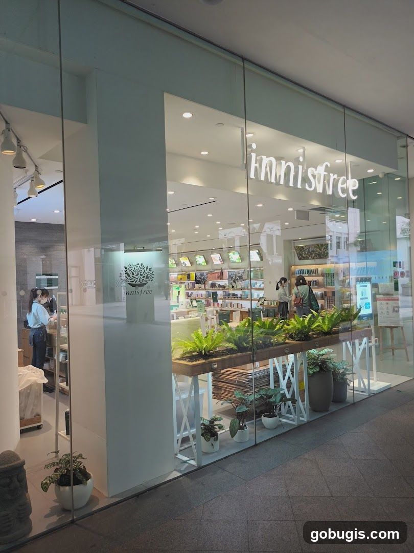 Innisfree Storefront