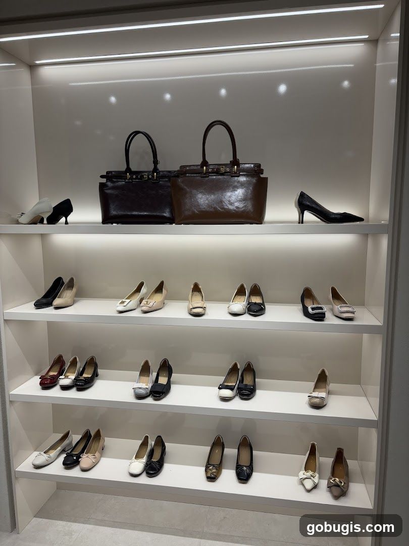 Women's Shoes and Handbags Display
