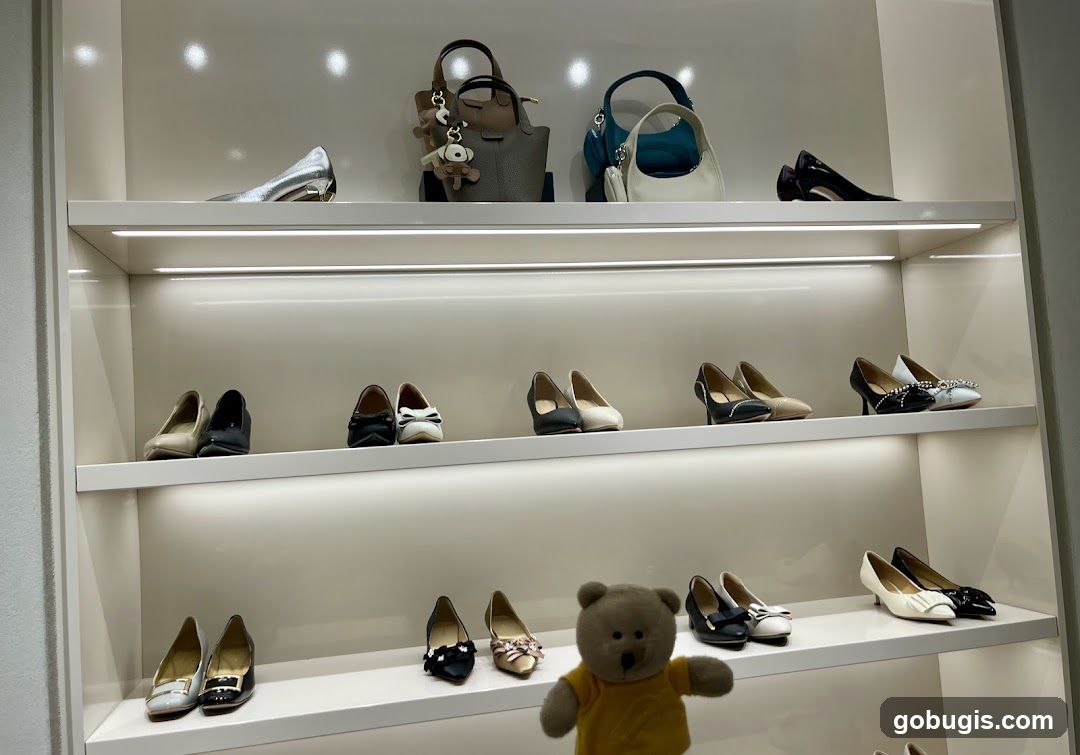 Display of Women's Shoes and Handbags