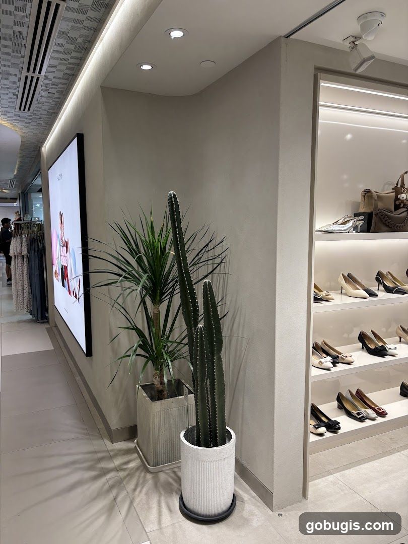 Store Interior with Shoes and Display